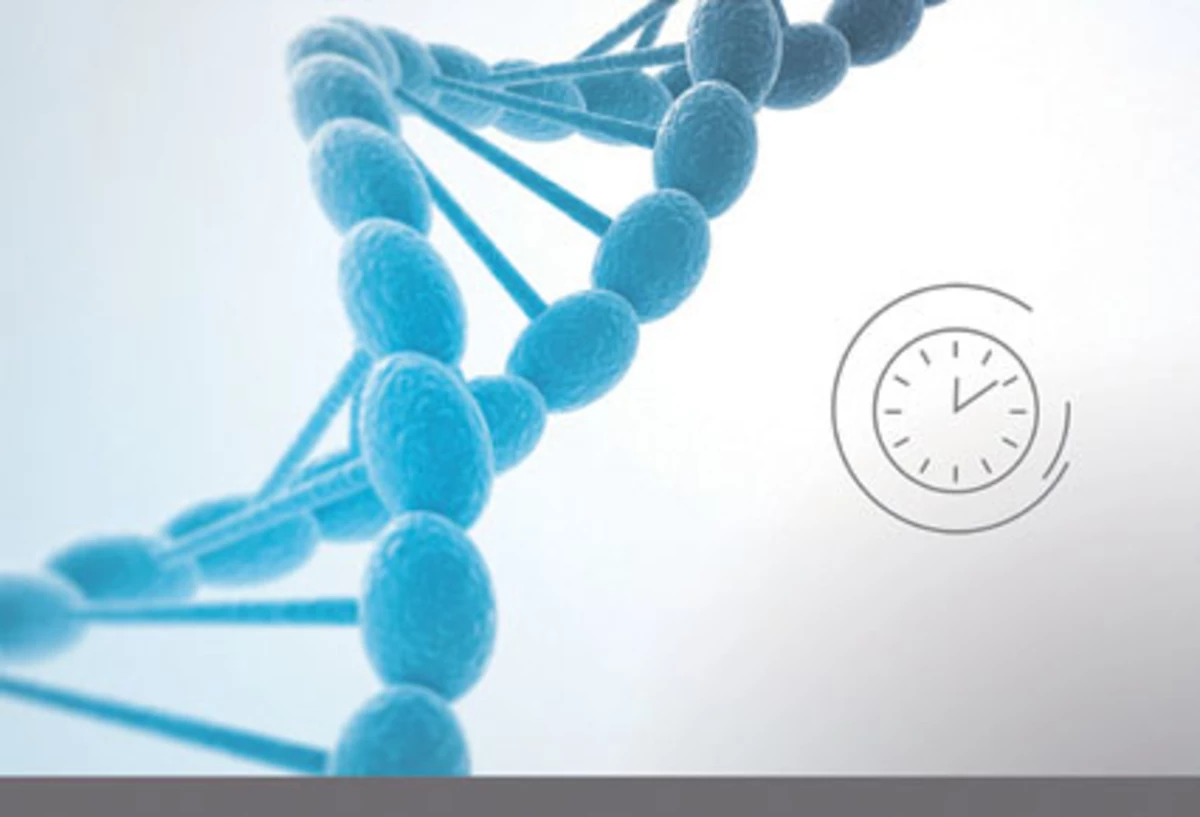 PHYTOBIOACTIF NUCLEOLYS